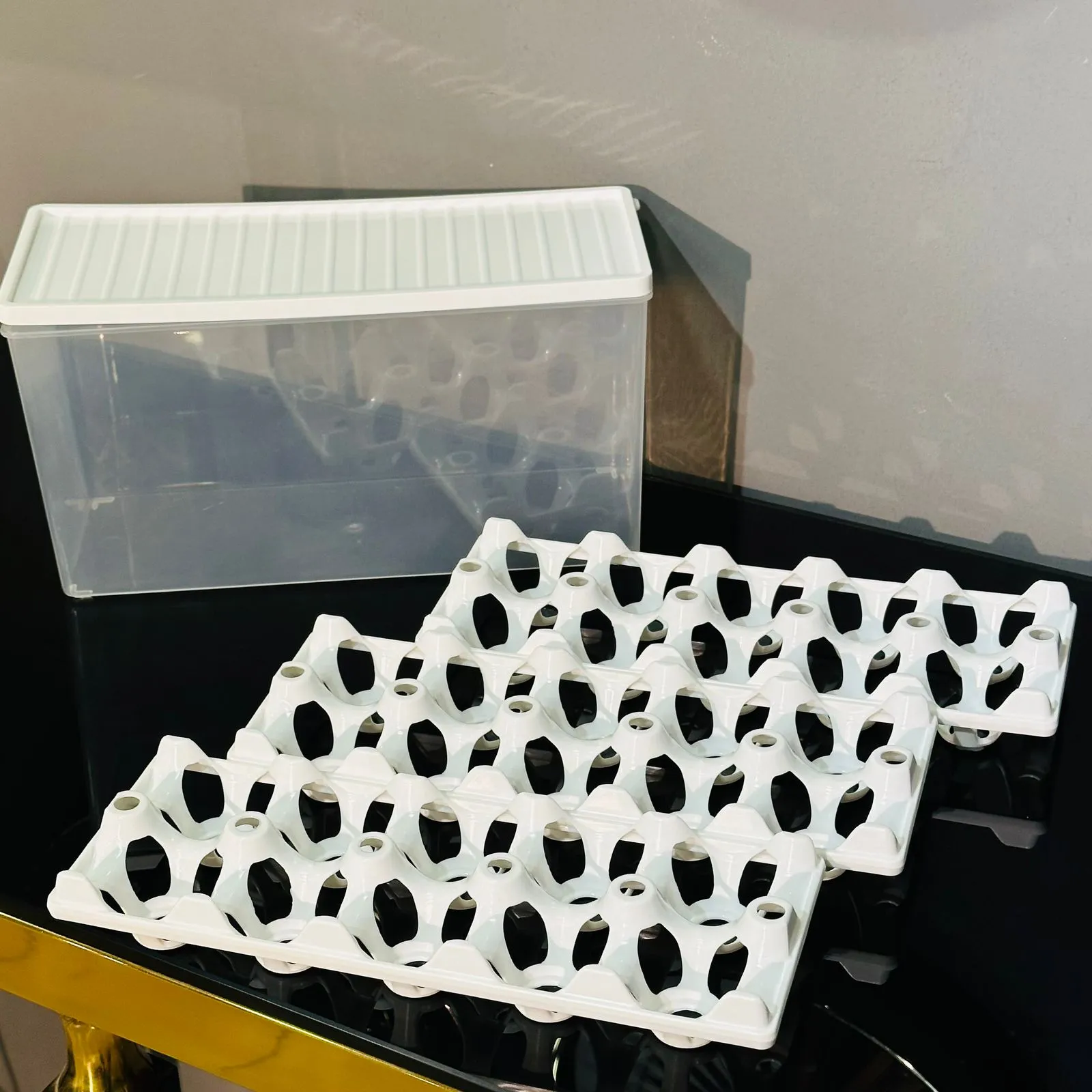 Egg Storage Box with 3 Egg Trays