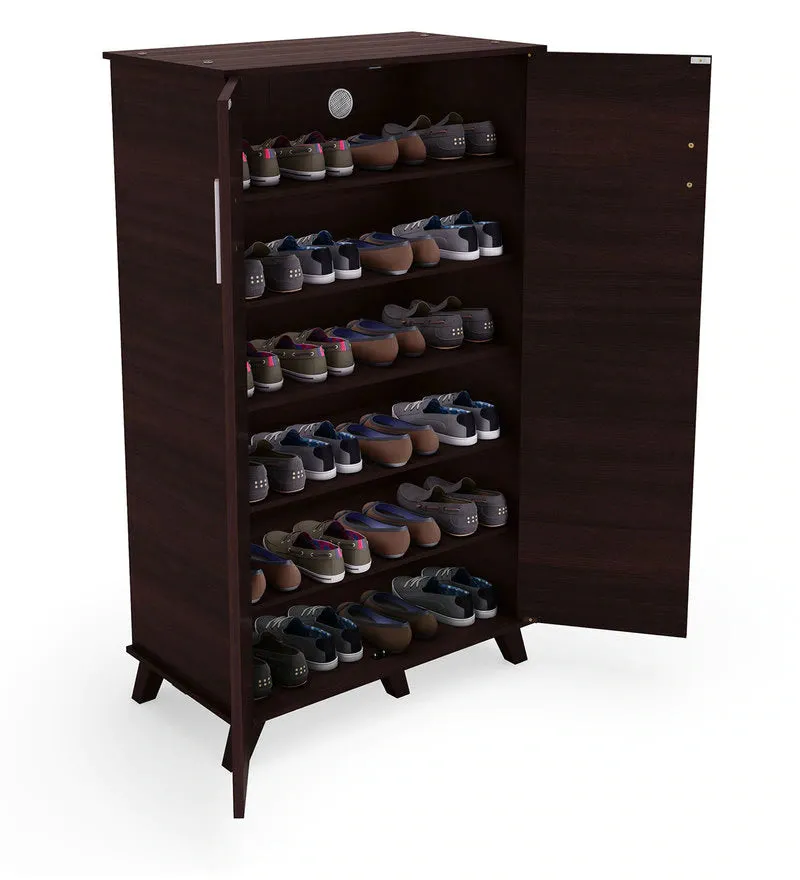 Hexa 2 Door Shoe Cabinet In Columbia Walnut Finish