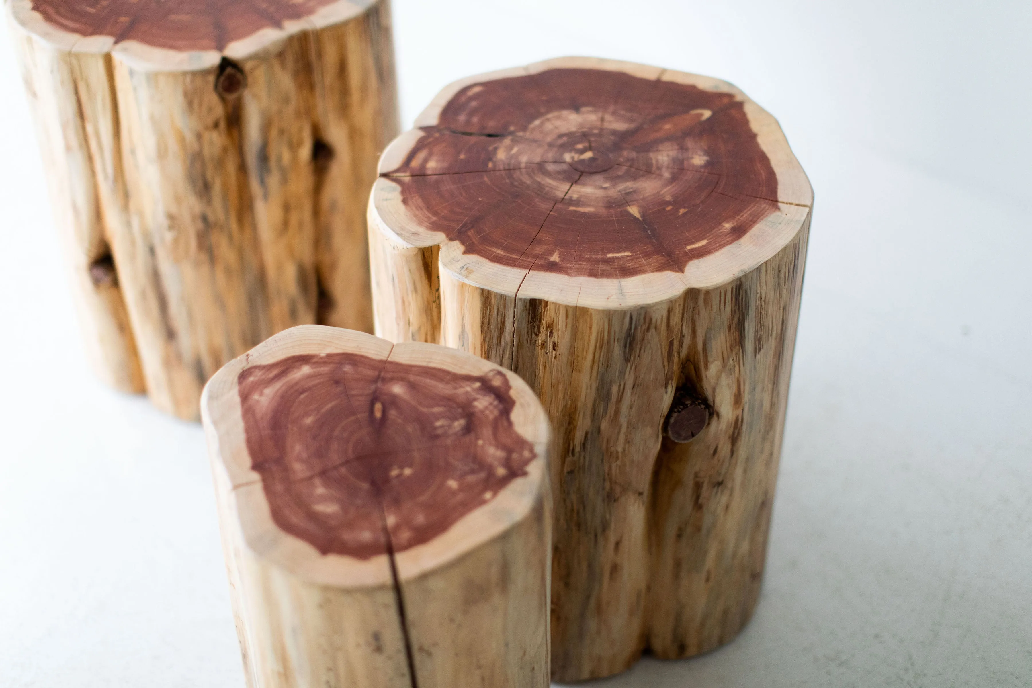 Large Tree Stump Side Tables - 1419 - Natural