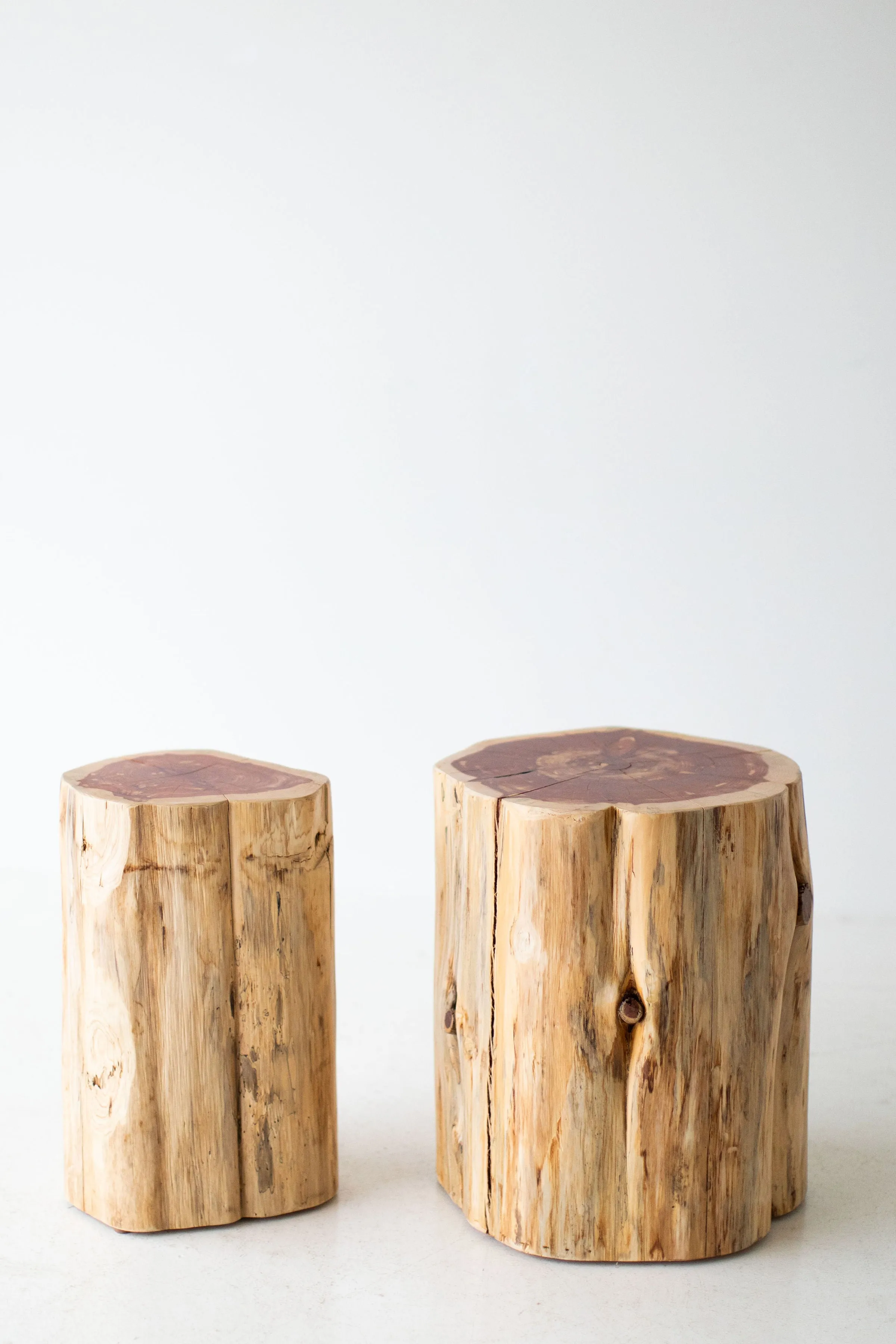 Large Tree Stump Side Tables - 1419 - Natural